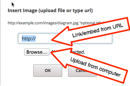 Screenshot of Insert Image
