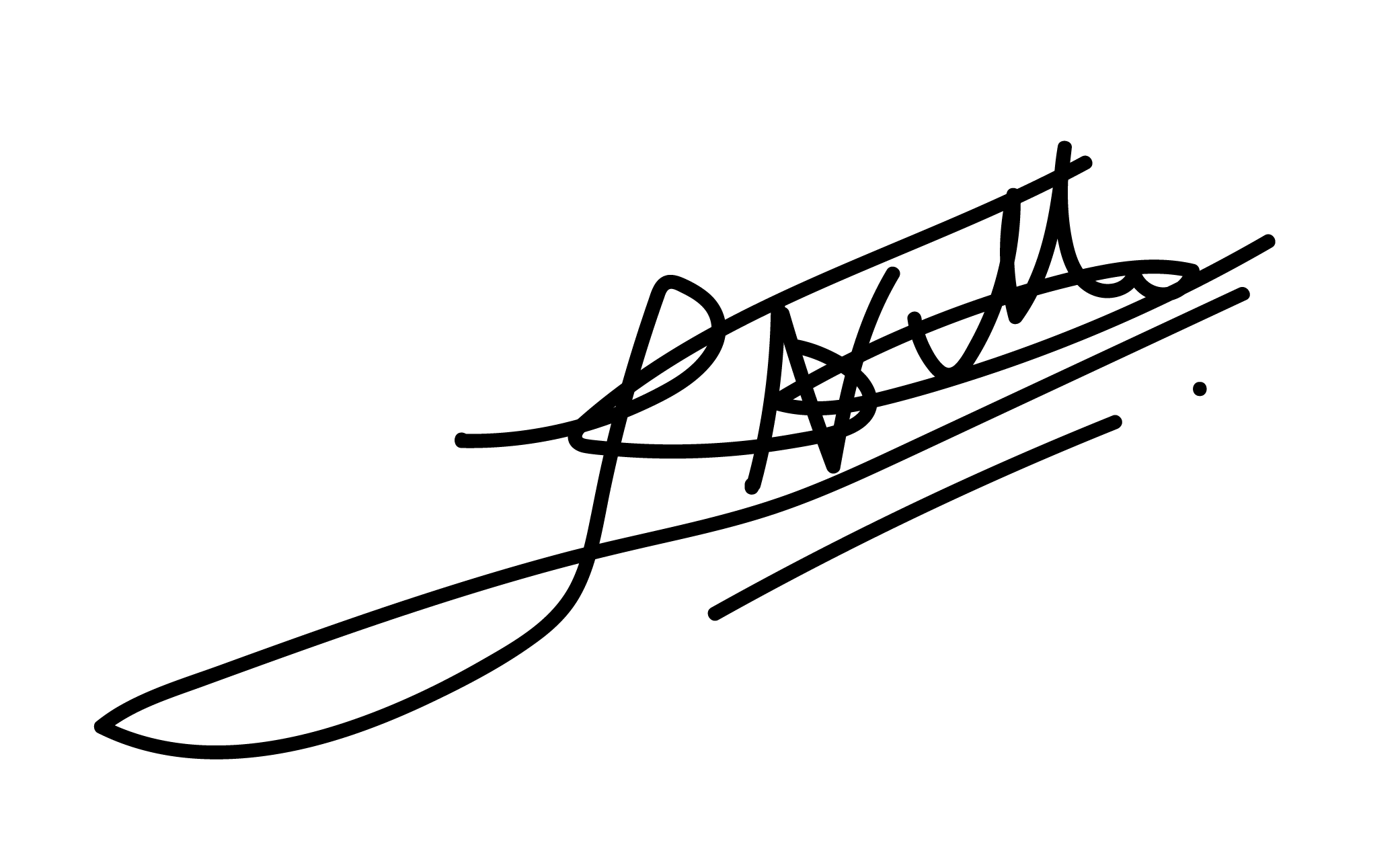Dr. Ir. Nico Tillie