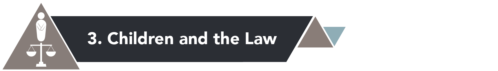 Section 3: Children and the Law