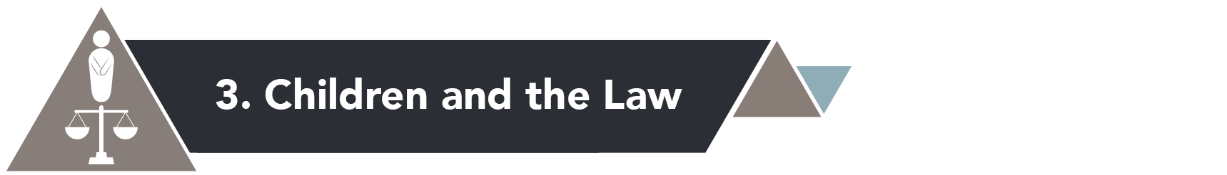 Section 3: Children and the Law