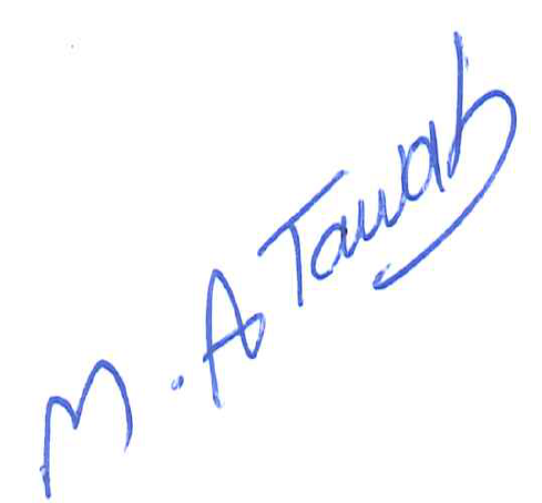 Mohamed Abdeltawab