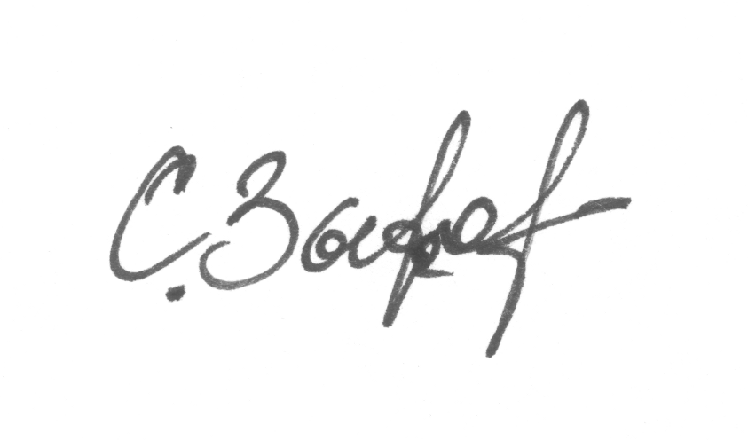 Sergey V. Zykov