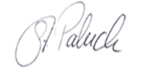 Prof. Stefanie Paluch