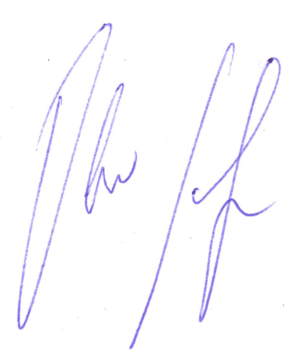 Prof. Dr. Torsten-Oliver Salge 