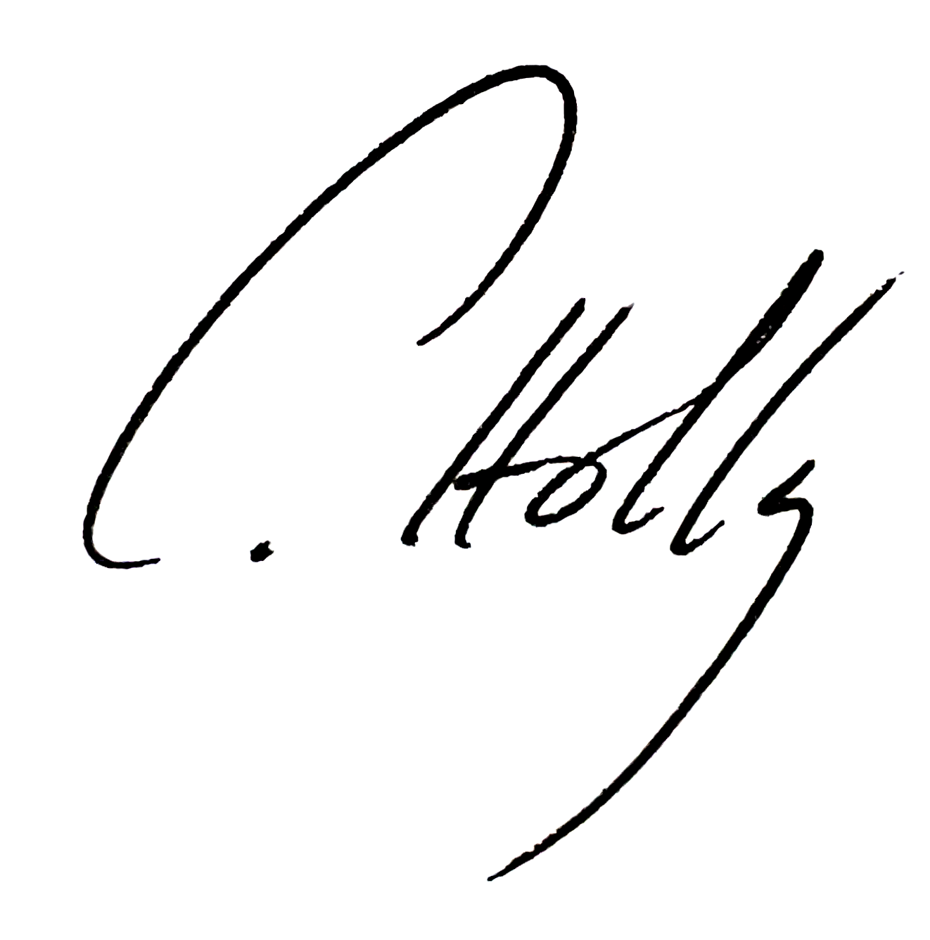 Prof. Dr. rer. nat. Carlo Holly 