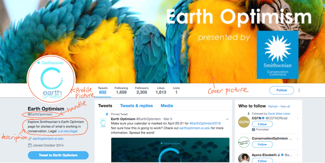 profile page
