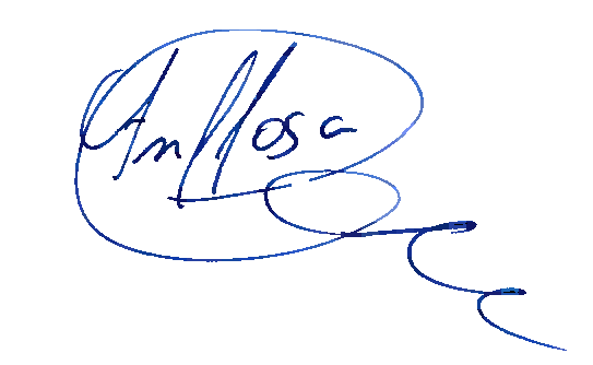 Andrés Lloret Salom