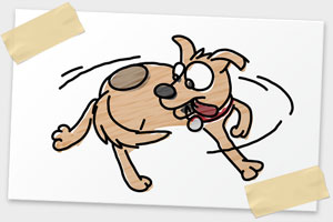 Dog chasing its tail