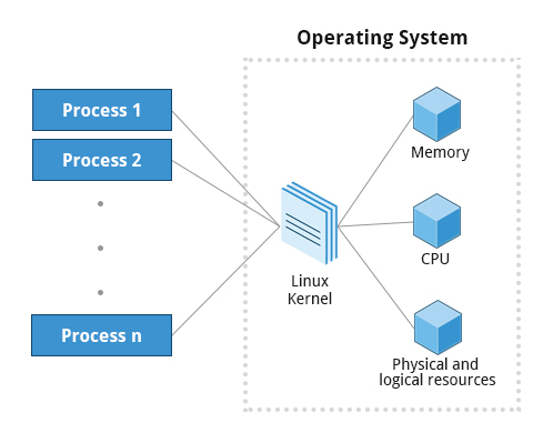 Processes