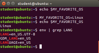 Environment Variables: a screenshot with different environment variables: echo $MY_FAVORITE_OS; MY_FAVORITE_OS=Linux; echo $MY_FAVORITE_OS Linux; env | grep LANG