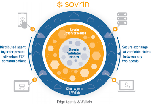 The Division of Validator Versus Observer Nodes