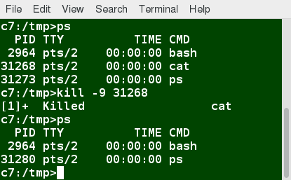 Terminating a Process