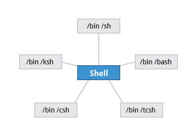 Command Shell Choices