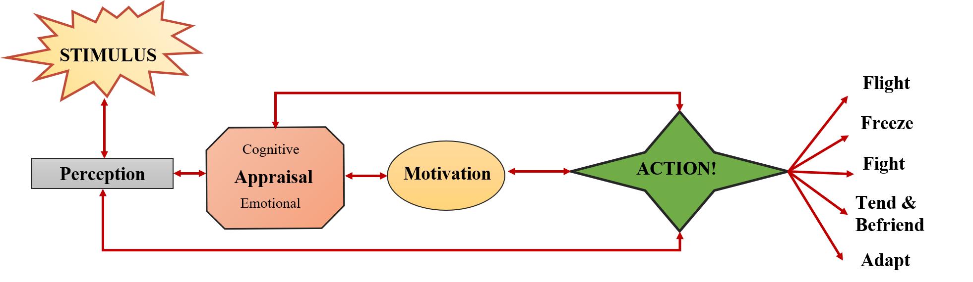 PAMA Model