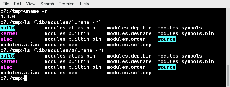 Command Substitution: a screenshot of the commands provided in this section and their output