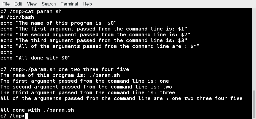 Using Script Parameters. A screenshot of the cat param.sh command and its output