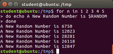 Random Numbers and Data: screenshot: for n in 1 2 3 4 5 do echo A New Random Number is $RANDOM done