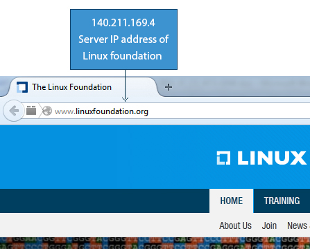 Screenshot Showing Server IP Address of The Linux Foundation Website