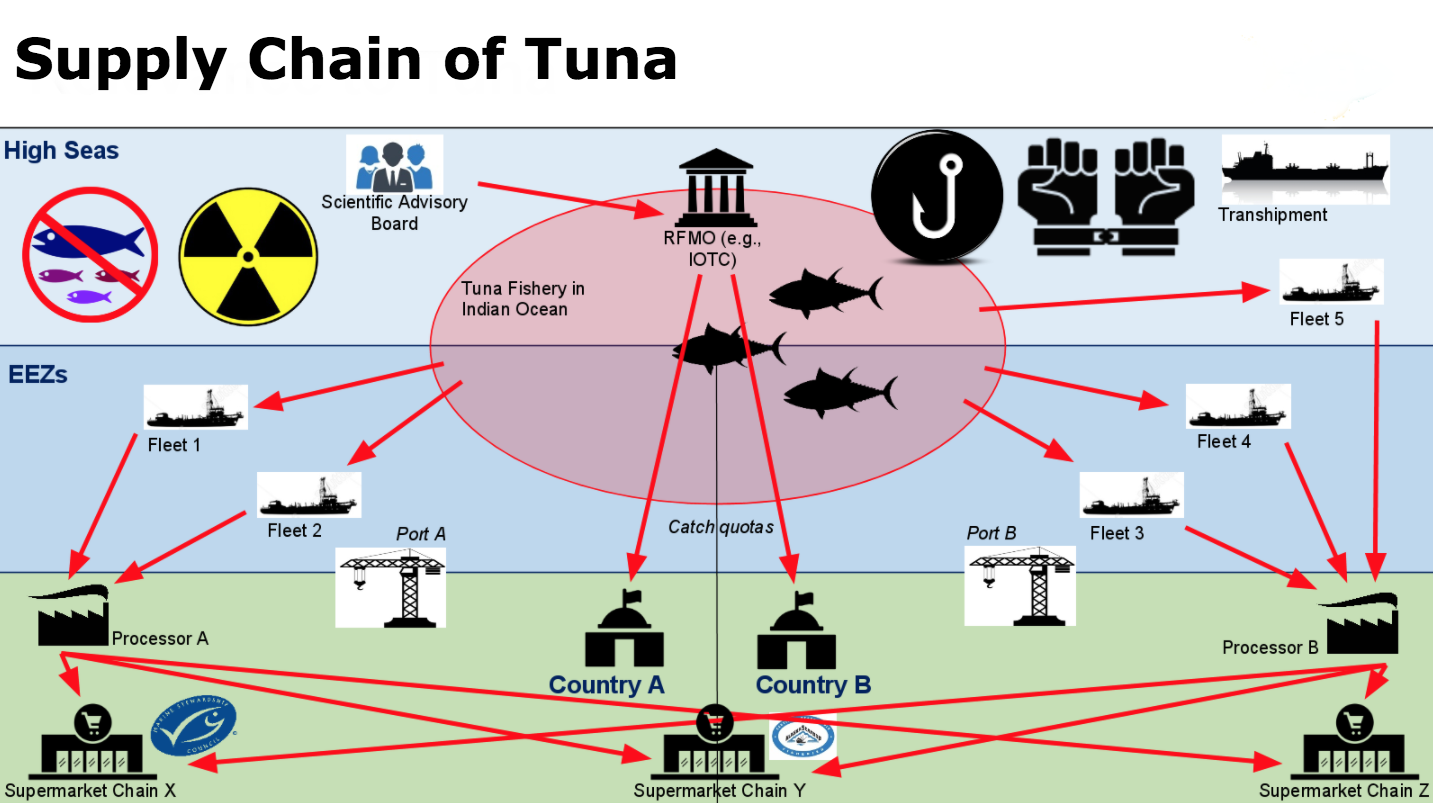 Supply Chain of Tuna