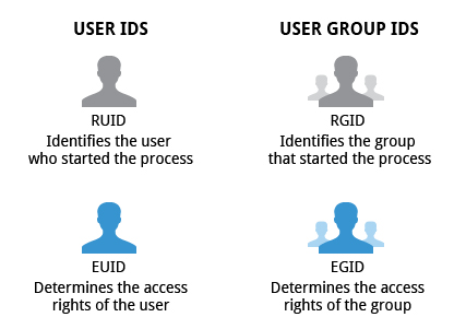 User and Group IDs