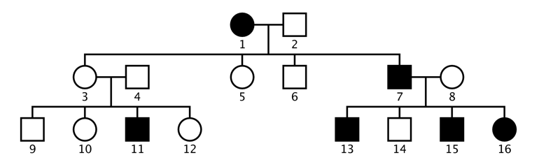 Lecture 8 - Basics of Human Genetics - Chloupek-Science